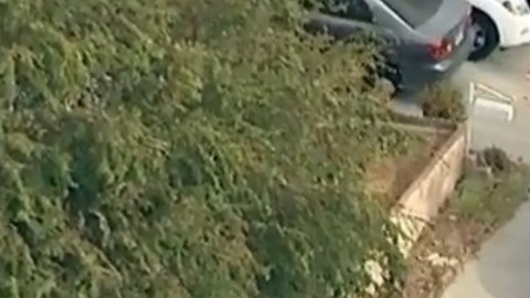 Hay un amplio operativo en la zona.