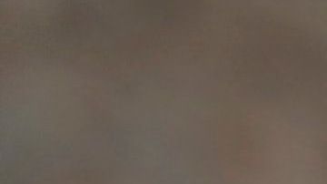 Estos trabajos no requieren que pases años estudiando en la escuela.