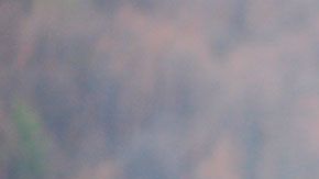 Estos empleos te pueden ayudar a tener un ingreso extra con una inversión muy pequeña.