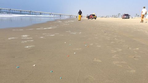 Los salvavidas limpiaron la playa en profundidad.