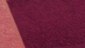 El hecho dejó una huella permanente en la joven.