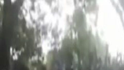 VIDEO 40 sicarios del Mencho y el CJNG avanzan pese a resistencia del Mayo Zambada
