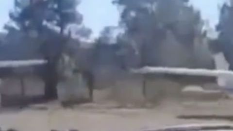 VIDEO: Así es la flotilla aérea del Mayo Zambada con las que el Cártel de Sinaloa transporta droga