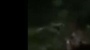 VIDEO: Grupo Sombra decapita a dos en zona que disputan al CJNG y el Cártel del Golfo