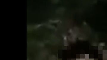 VIDEO: Grupo Sombra decapita a dos en zona que disputan al CJNG y el Cártel del Golfo