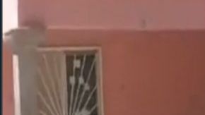 VIDEO Los Salazar brazo armado de los Chapitos causaron así terror por balacera en un pueblo