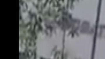 VIDEO: Narcos del Cártel del Noreste roban trocas a plena luz del día a unas millas de frontera