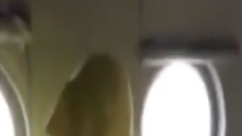 VIDEOS: El reacomodo de narcotraficantes en cárceles mexicanas
