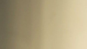 La mujer reveló que solo buscó más información de su artículo con la intención de saber su procedencia.