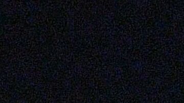 Muchos afroestadounidenses creen que el discurso de Trump ha hecho florecer los postulados racistas.