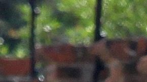 Los restos de al menos 50 personas fueron hallados en Tlajomulco de Zúñiga.