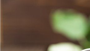 Desde hace muchos años el vinagre era respetado por ser un extraordinario conservador de alimentos.