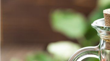 Desde hace muchos años el vinagre era respetado por ser un extraordinario conservador de alimentos.