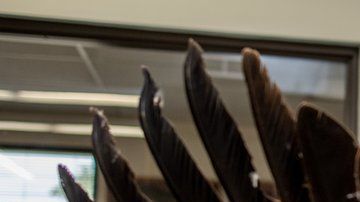 La especialista Laura Mallory examina la envergadura de un águila real.