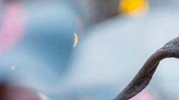 ¿Conoces al temible Krampus?