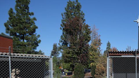 El pesebre se volvió viral en Estados Unidos.