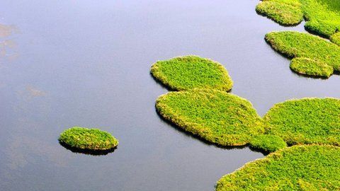 Los científicos hallaron una explicación para el fuerte aumento del metano en la atmósfera.