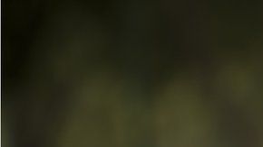 ¿Sabías que la criptografía está presente en tu teléfono?