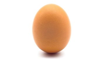 Se dice que el huevo se mantiene parado por n aumento en la gravedad.