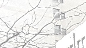 Un movimiento de padres se organiza para protestar ante la Asamblea Estatal