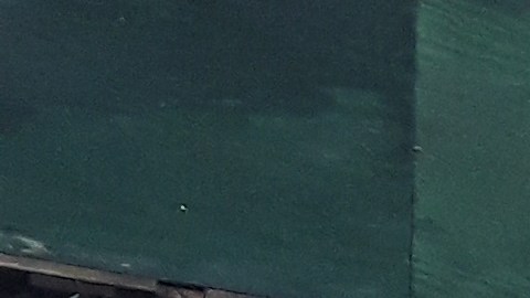 Las tarifas aumentarían en un 4,2% para los clientes de Con Edison