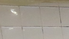 Intentarán bajar el caos