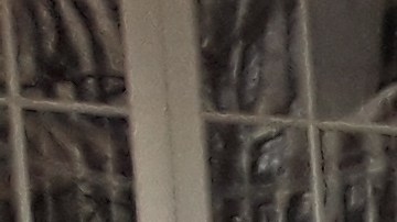 El abogado Anthony Posada es activista de Legal Aid Society y lidera este plan educativo