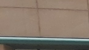 Policía estatal de NY