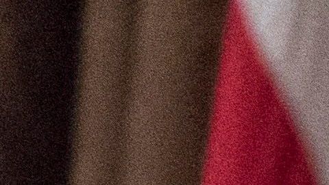 El presidente Trump enfrenta críticas de la opinión pública.