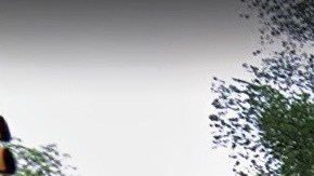 5 Av con 96 St, frente a Central Park