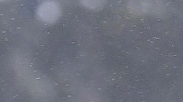 'El Comandante' sorprendió con su nueva adquisición en su país natal.