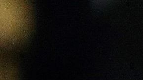 En Suiza acuñarán monedas conmemorativas con el rostro de Roger Federer.