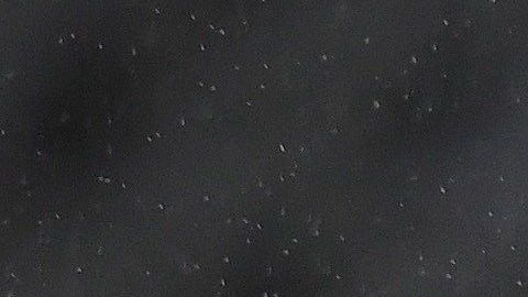 Raúl Jiménez salió al minuto 81.