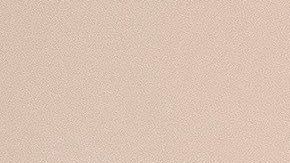 Andrés Guardado reveló que se quiere retirar en la Liga.