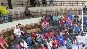 Peleas de gallos en Puerto Rico