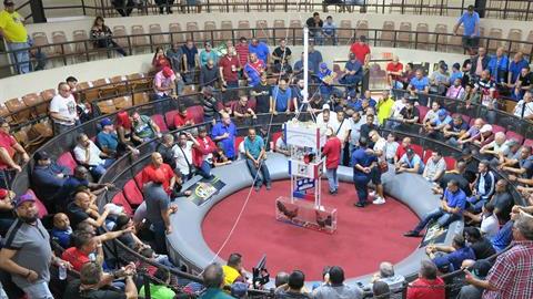 Peleas de gallos en Puerto Rico