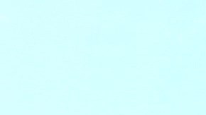 Anandrea Molina con miembros de la comunidad trans.