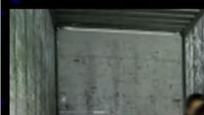 Vestían camisetas marcadas como productos de carga.