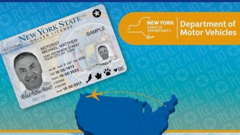Indocumentados ya pueden tramitar licencia de manejo en Nueva York.