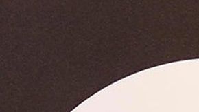 Francisco Álvarez y dulce María.