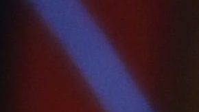 Chiquinquirá Delgado.