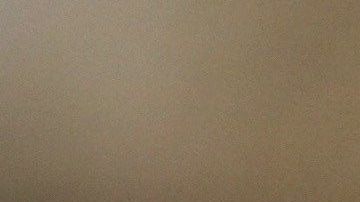 Una delegación del Congreso de EEUU fue a suplir la ausencia de Trump en la COP25.