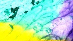 Dicha elección es para transmitir un mensaje de paz y tranquilidad.