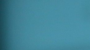 Sin embargo, no se revelaron los términos del arreglo.