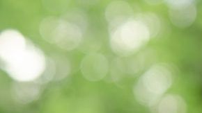 Integrar semillas de chía en tu dieta es de lo más sencillo, son un gran complemento para jugos, smothies, licuados y ensaladas.