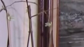 Alberto Zamacona tenía 47 años