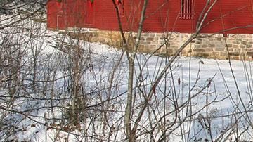 alley-christmas-snow_1200x480-national-park-service