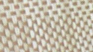 Ana Brenda Contreras.