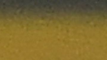 Ansu Fati se convirtió en el jugador más joven en marcar en la competencia europea.