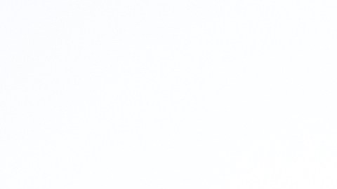 María Marín comparte la receta de su desodorante natural.